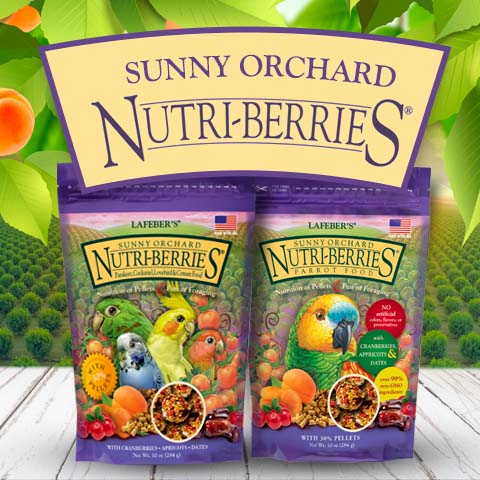 Sunny Orchard Nutri-Berries