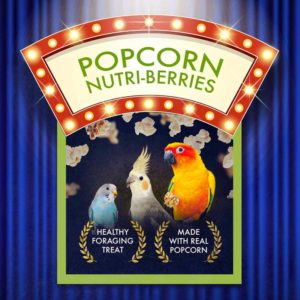 61640-popcorn-nutri-berries-cockatiel