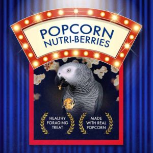 61650-popcorn-nutri-berries-parrot