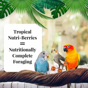 82640 Tropical Fruit Nutri Berries Cockatiels