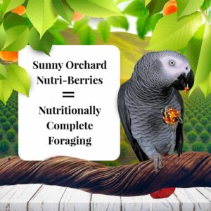 82857-14lb-sunny-orchard-nutri-berries-parrot-01
