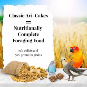 86010-8oz-classic-avi-cakes-small-birds-lifestyle 1
