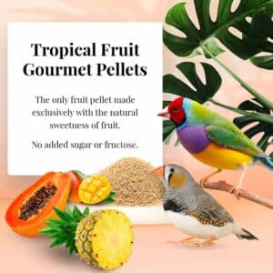 az-72610-tropical-fruit-gourmet-pellets-finch-01-0720