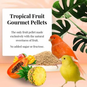 72620 Tropical Fruit Gourmet Pellets for Canaries no sugar added