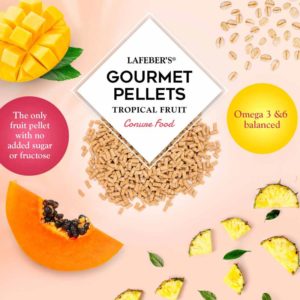 72645 Tropical Fruit Gourmet Pellets for Conures gourmet