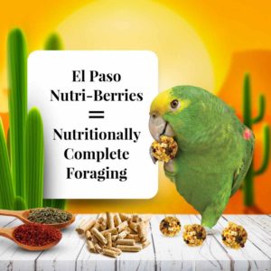 82154 El Paso Nutri-Berries foraging food